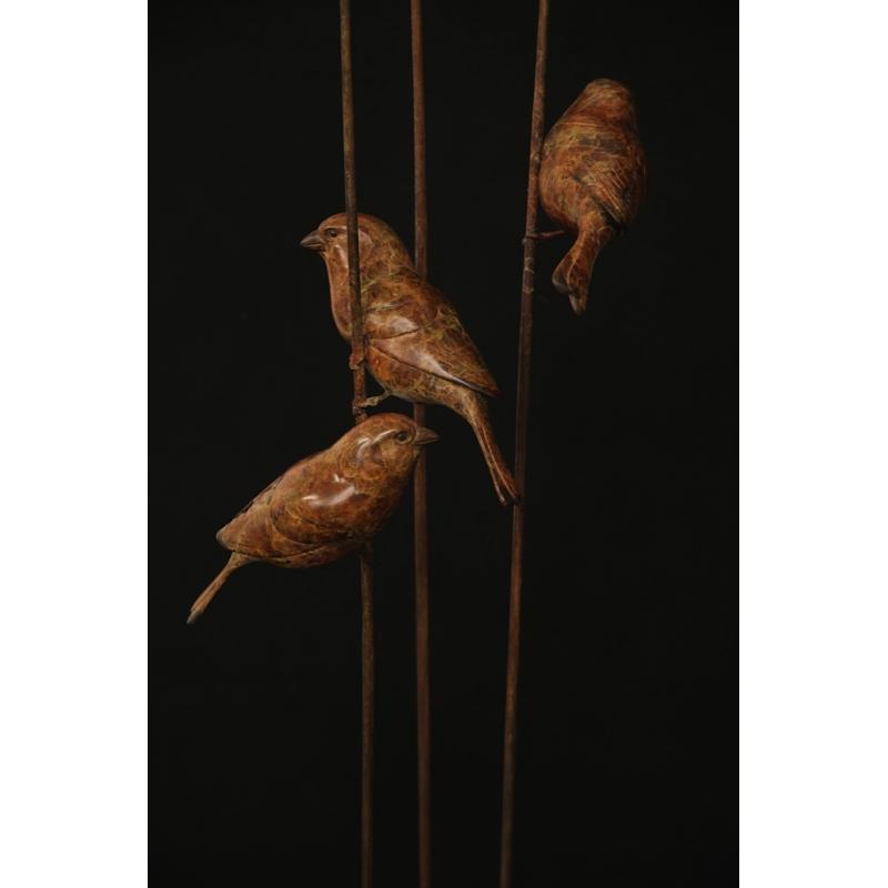 Three Sparrows