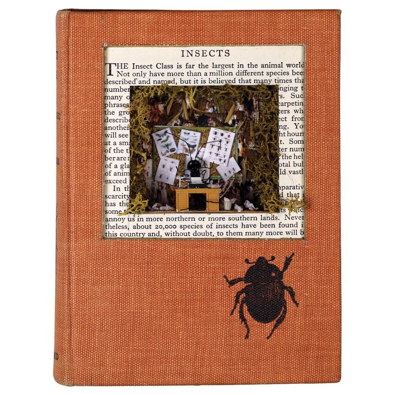 Insects
