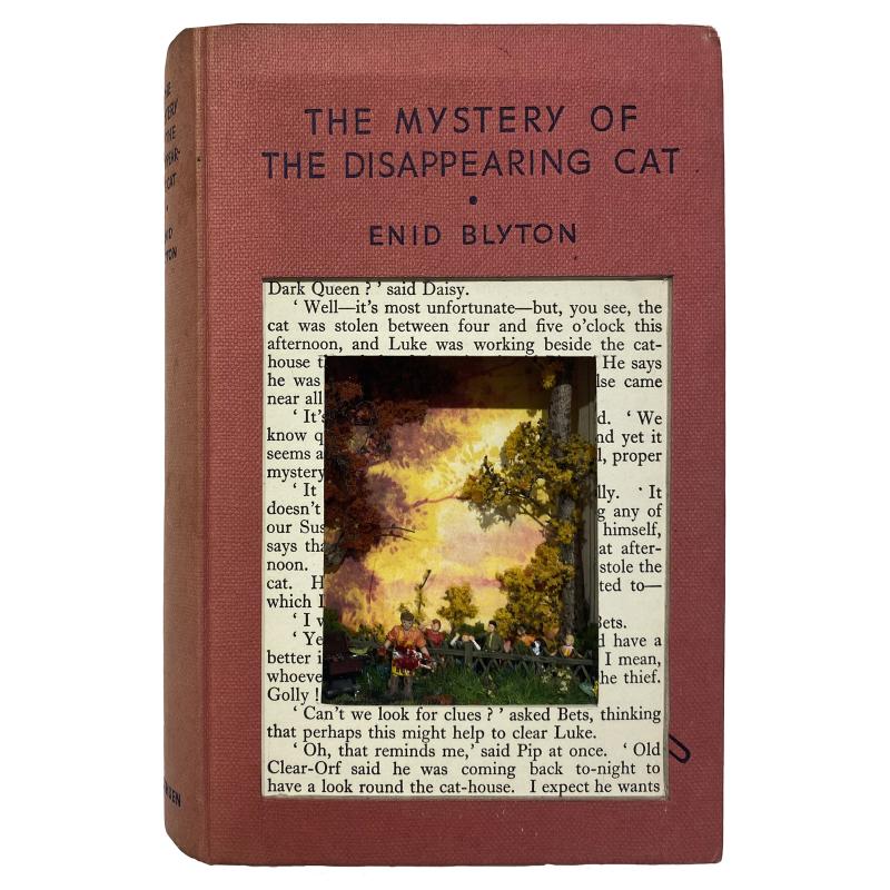 The Mystery of the Disappearing Cat