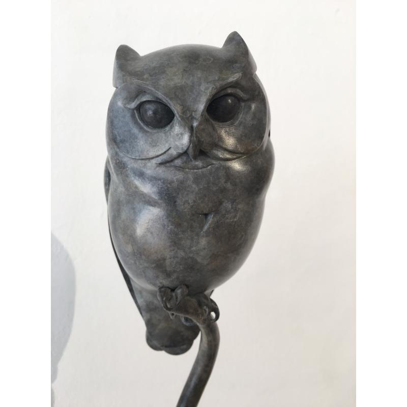 Scops owl