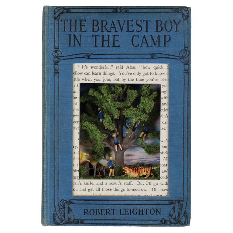 The Bravest Boy in the Camp