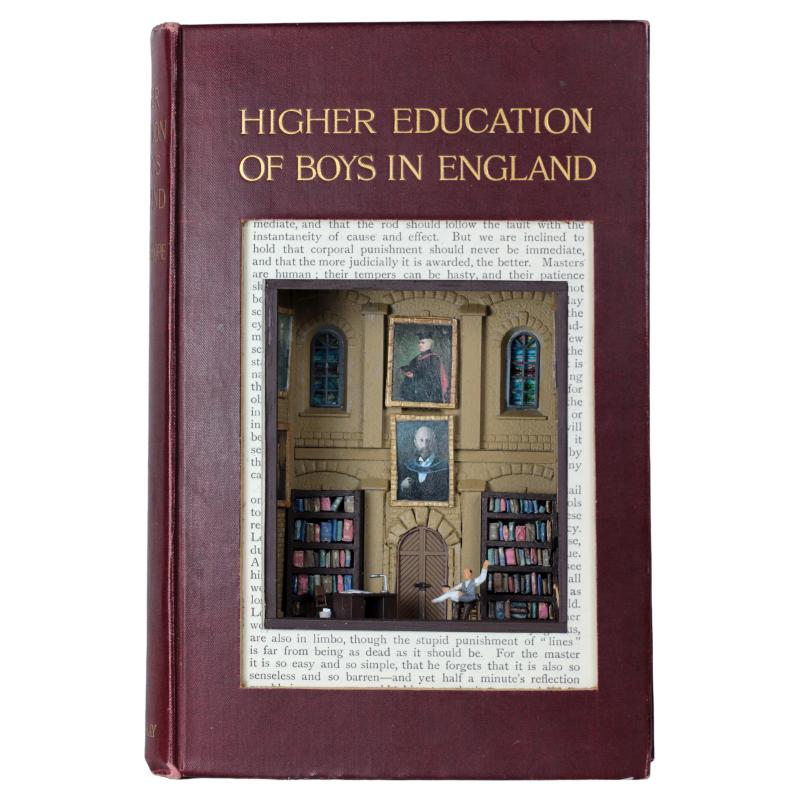 The Higher Education of Boys in England