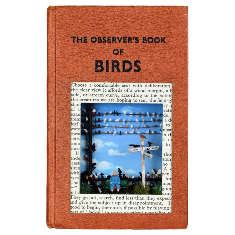 The Observer's Books of Birds