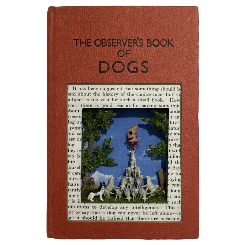 The Observers Books of Dogs