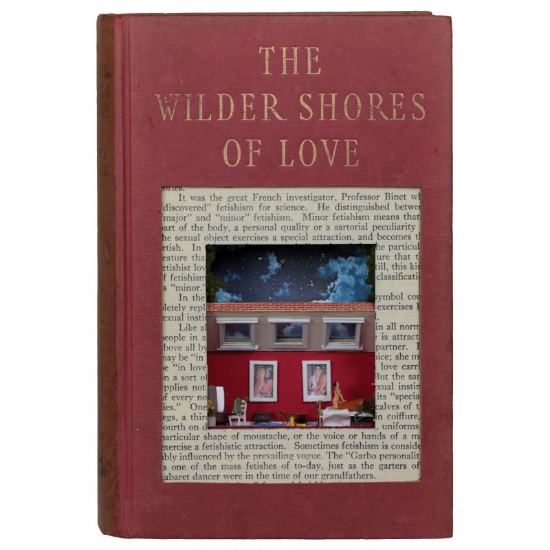The Wilder Shores of Love