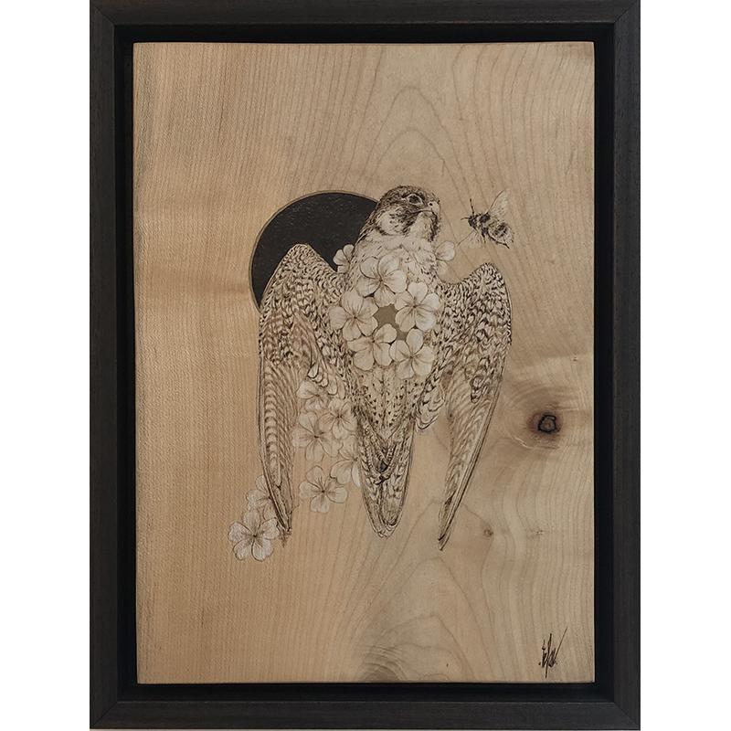 Peregrine's Lament