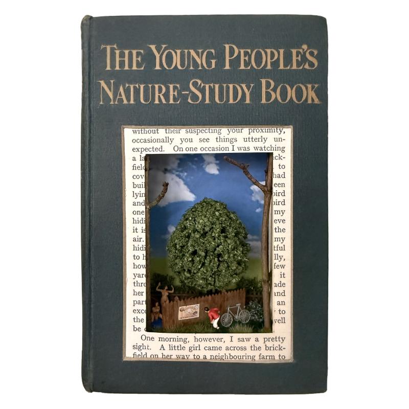 The Young People's Nature Study Book