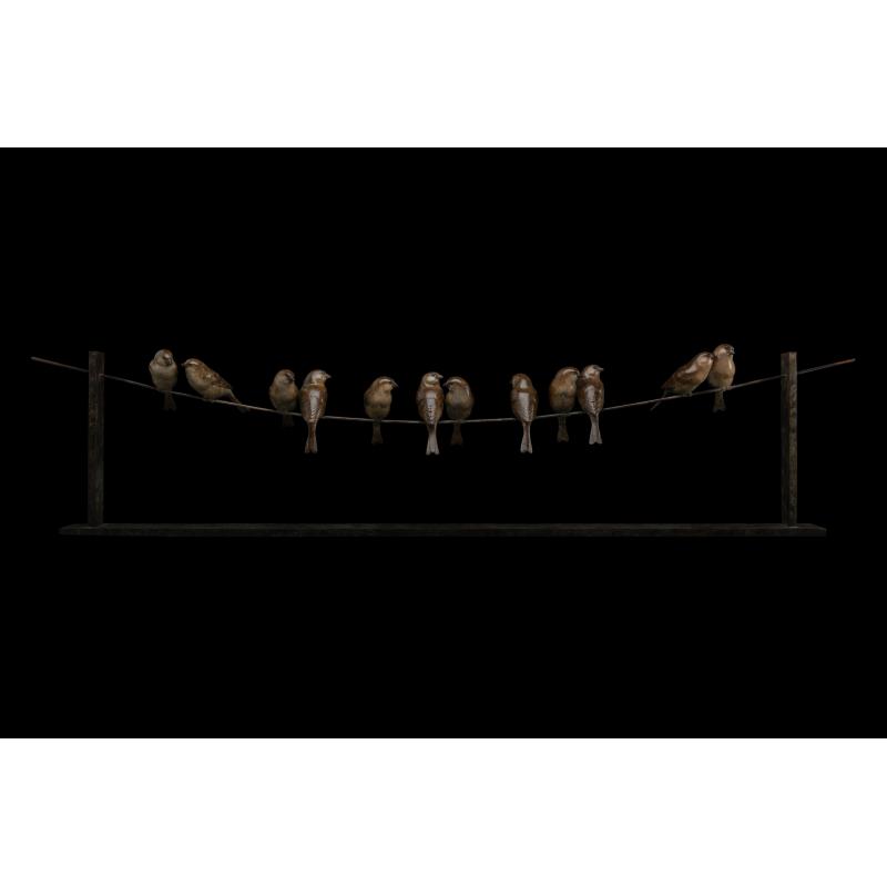 Twelve Sparrows