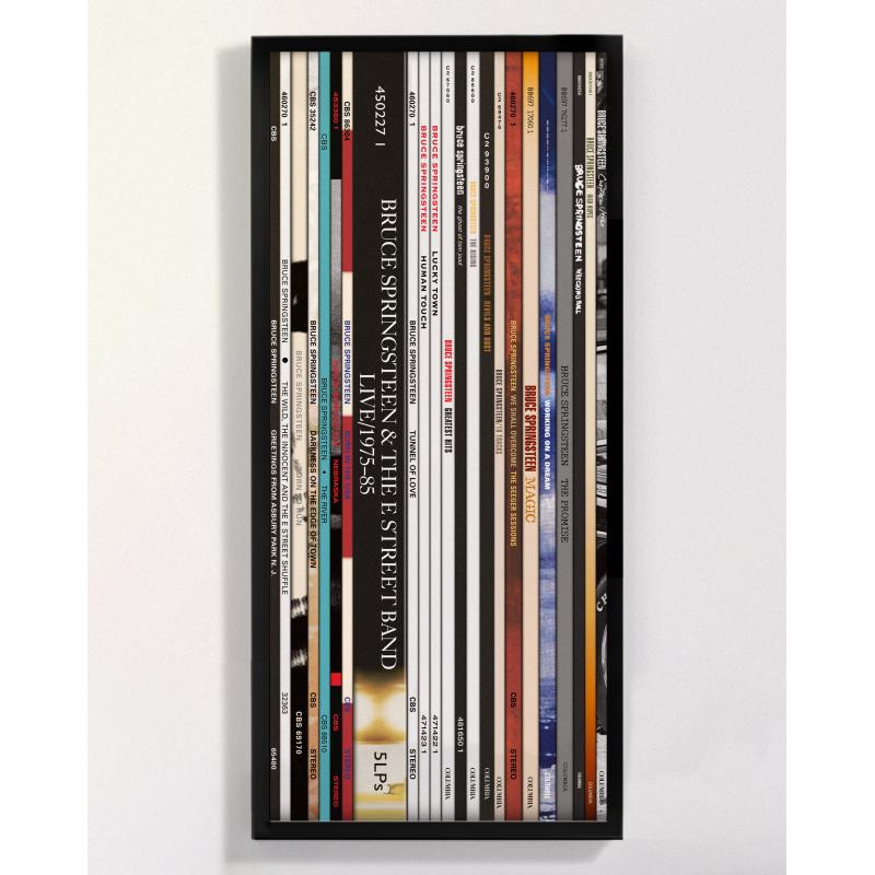 Spines #6 - Bruce Springsteen