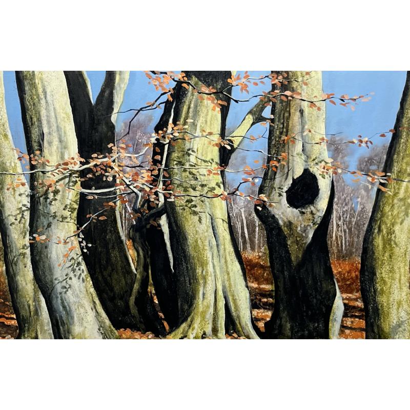 Winter Beeches