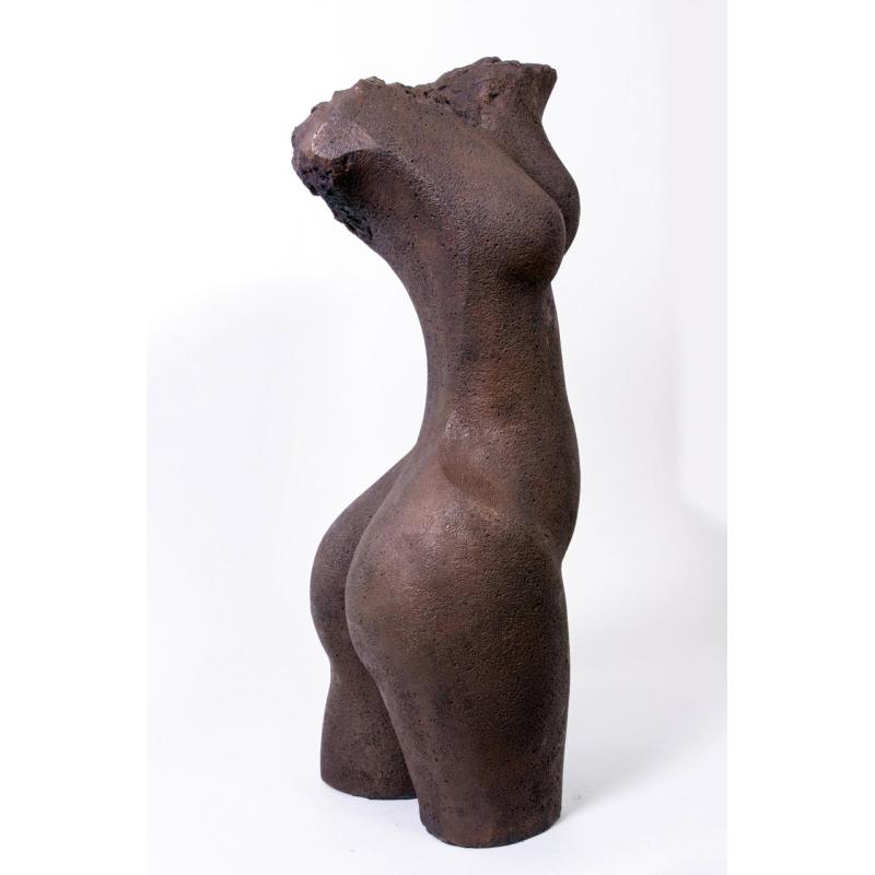 Torso Twist